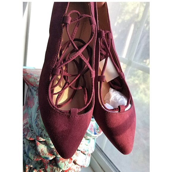 NWOT Loft Ballet Lace Tie Pointed Toe Flats - Picture 2 of 4